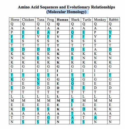 Using the Amino Acid sequences, can you pick out what statements are true about the relatedness of