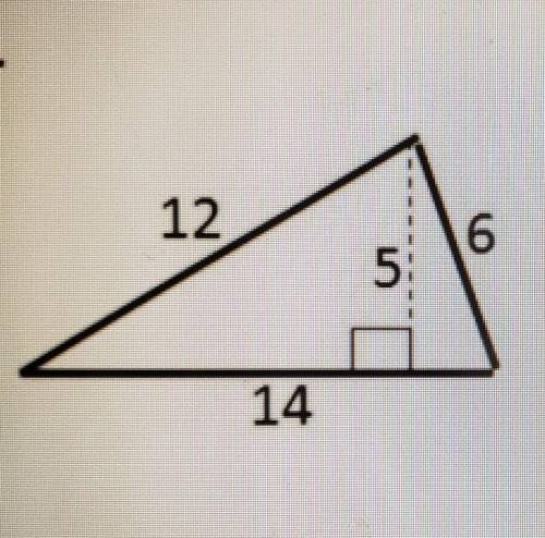 Can u guys find the area of the triangle pls​