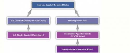 The chart above shows the process by which cases can be appealed to higher courts in the United Sta