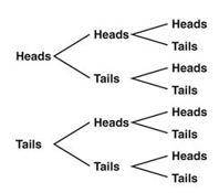 The tree diagram below illustrates the possible outcomes of three tosses of a balanced coin. What i