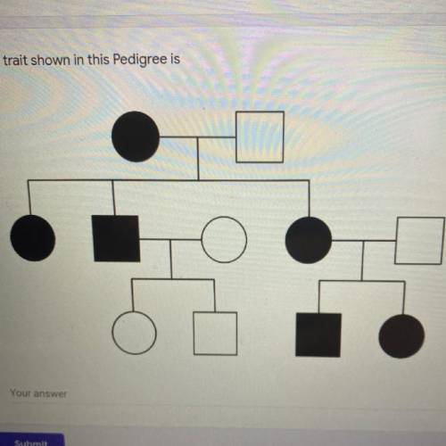 WHAT IS THIS PEDIGREE CHART