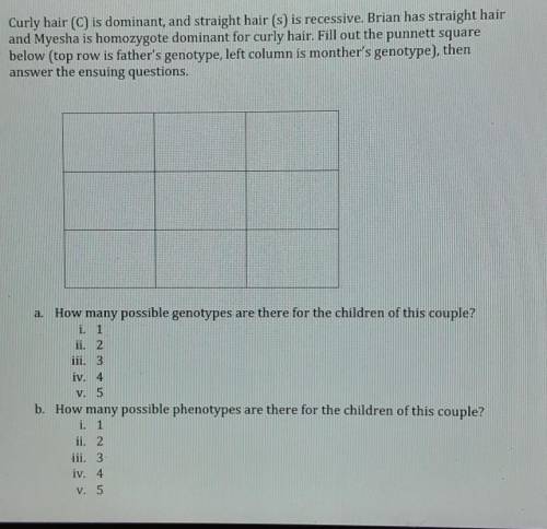 Fill out the punnett square below (top row is father's genotype, left column is monther's genotype)