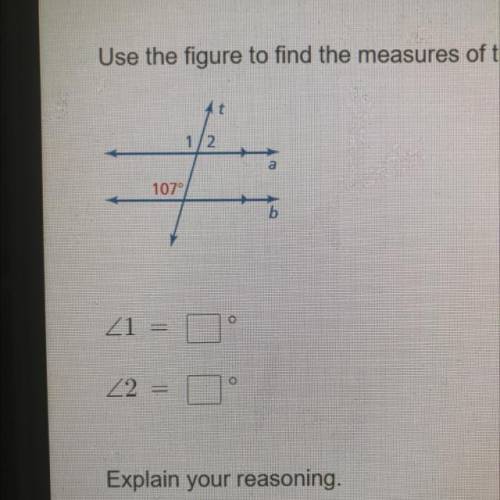 The answer I don’t know math and at this point I’m gonna fail 8th grade this is my last resort pls