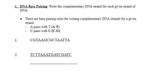 Write the complementary DNA strand for each given strand of DNA.