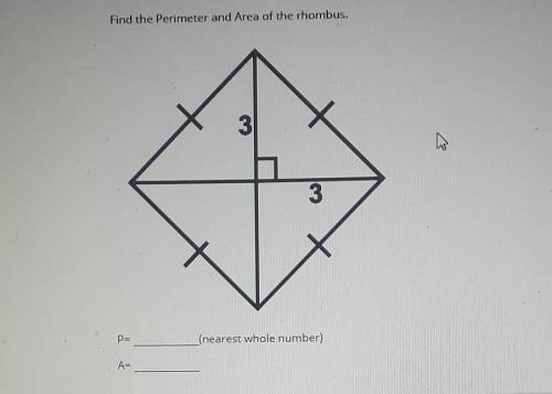 Find the perimeter and area of the rhombus.​