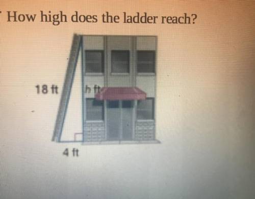 How high does the ladder reach?