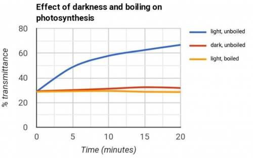A controlled experiment was conducted to analyze the effects of darkness and boiling on the photosyn