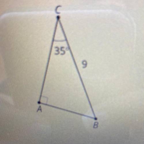 Find the missing measurements in triangle ABC. Round your answers to the

nearest tenth if necessa