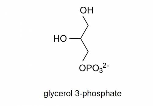 PLEASE HELP! BIOLOGY

Glycerol 3-phosphate, an organic molecule, is shown here. It is formed durin