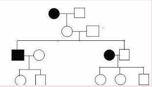 What type of representation of inheritance is shown in the figure?

(16.5 Points)Punnett squareflo