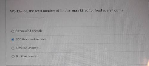 Worldwide, the total number of land animals killed for food every hour is ______.

1. 8 thousand a