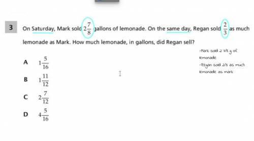 On saturday, Mark sold 2 7/8 gallons of lemonade. On the same day, Regan sold 2/3 as much lemonade