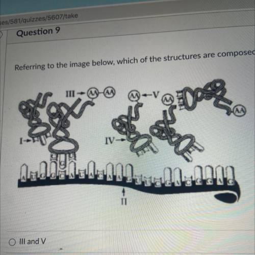 Referring to the image below, which of the structures are composed of RNA?