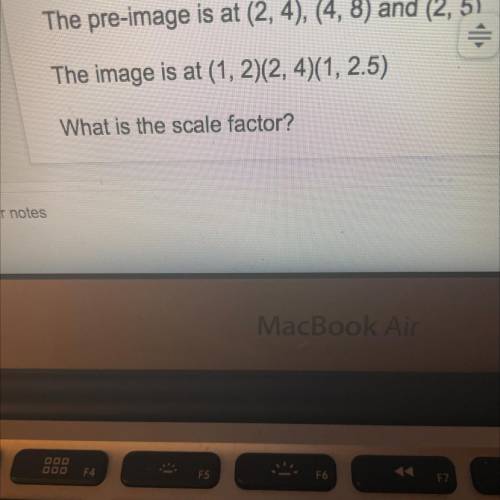 What is the scale factor?
I will give you brainless