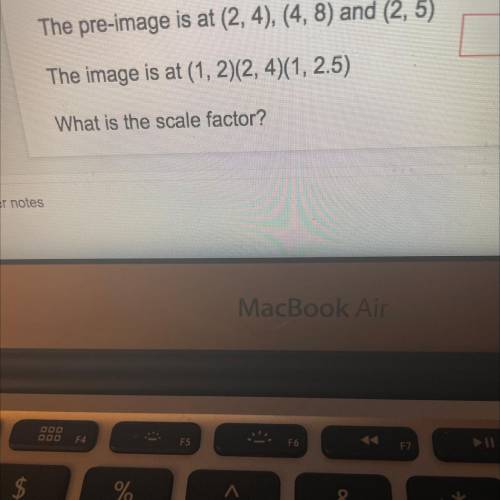 I will give you brainless 
What is the scale factor?