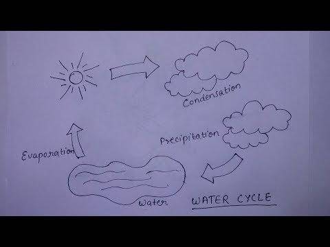 2. How well does the above model demonstrate the water cycle? Support your answer using two piece