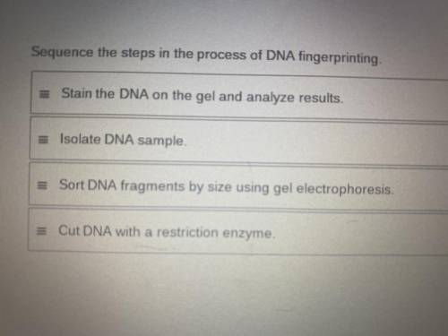Steps in dna fingerprinting, the way these are worded are throwing me off