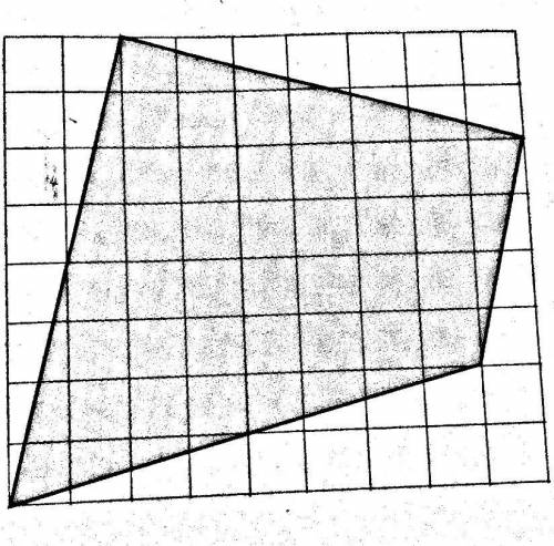 Calculate the area. Each box is 0,5cm.