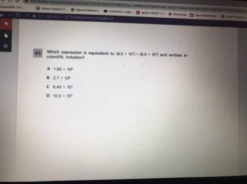 Hello I am struggling with this math question pls explain to how you got your answer. Pls don’t upl