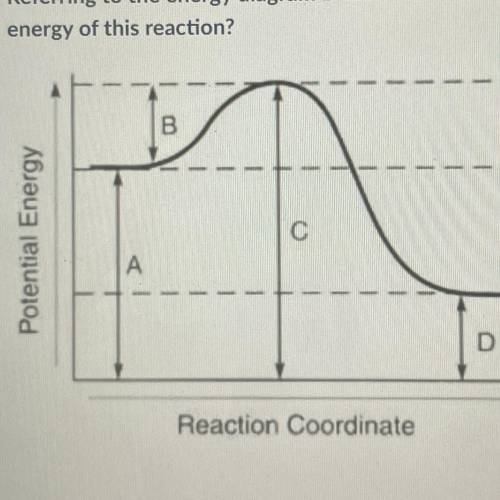 PLEASE HELP

Referring to the energy diagram below which arrow segment represents the activation
e