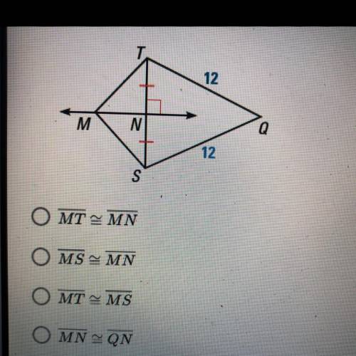 In the diagram below, line MN is a perpendicular bisector. Which of the following is true?

1. MT=