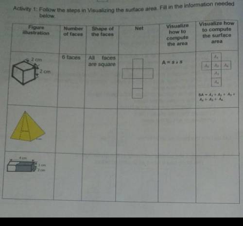 Activity 1: Follow the steps in Visualizing the surface area. Fill in the information needed below