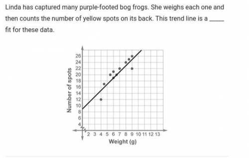 Linda has captured many purple-footed bog frogs.