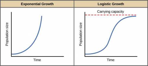 Analyze the graphs below. Which growth model would apply to a population of squirrels arriving on a