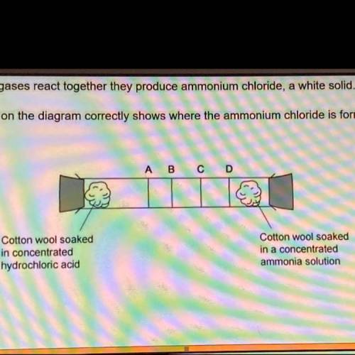 Question 2

Hydrogen chloride and ammonia are gases which are given off by cotton wool soaked
in c
