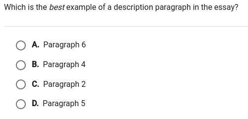 Which is the best example of a description paragraph in the essay