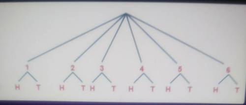 pls helppppp!! The tree diagram sows the outcomes of rolling a die and flipping a coin. How many to