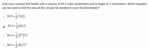 Zula has a conical bird feeder with a volume of 64.3 cubic centimeters and a height of 7 centimeters