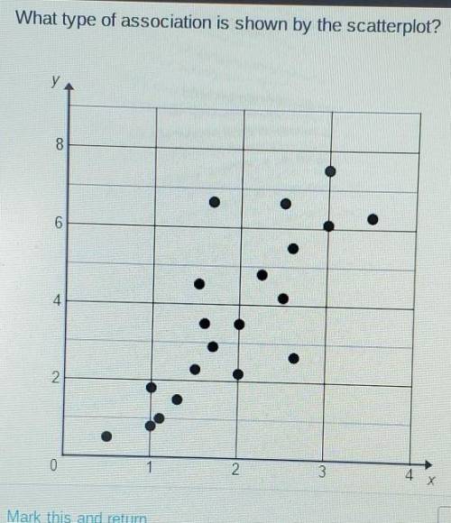 What type of association is shown by the scatterplot? ​