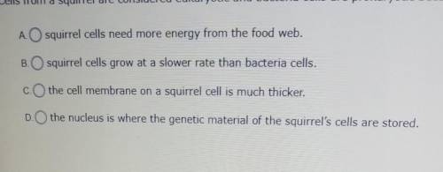Cells from a squirrel are considered eukaryotic and bacteria cells are prokaryotic because -​