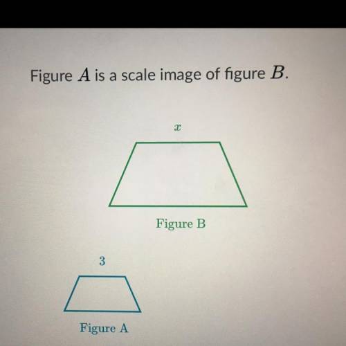 What is x? Plz help me this question is worth 13 points.