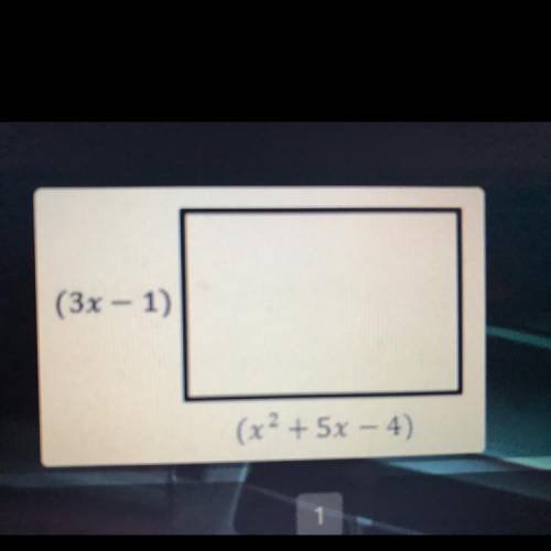 Need help on this, what is the perimeter of the rectangle in simplest form?