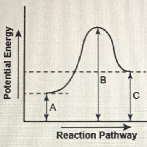 The drame the potential energy change for a reaction pathway (10 points)

Potential Energy
c
React