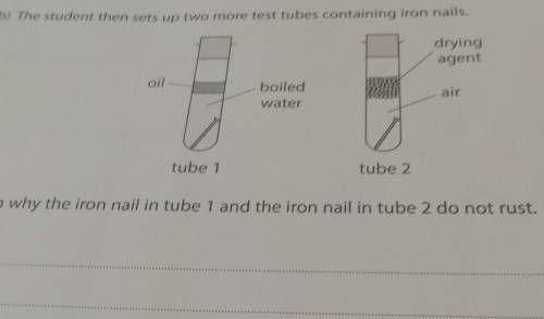 The student then sets up two more test tubes containing iron nails.Explain why ​