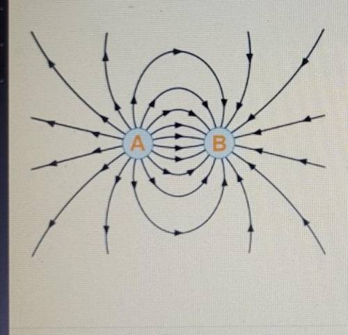 This picture represents the electric field diagram between two particles with static charges. Do th