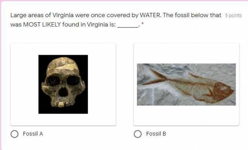 Large areas of Virginia were once covered by WATER. The fossil below that was MOST LIKELY found in