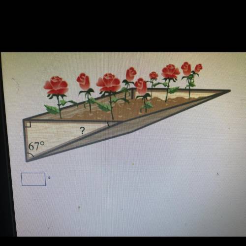 The side of this flower box is a right triangle with one acute angle measuring 67'. What is the mea