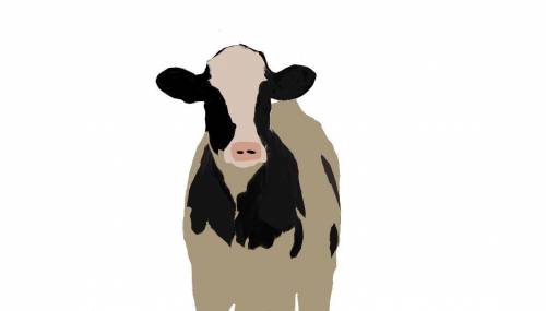 This is sam! hes wakatoshi bubs cow :)
