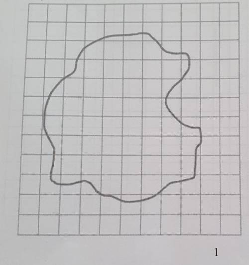 2) This is a scale drawing of an island. Each square on the grid has an area of 1cm2. The

scale i