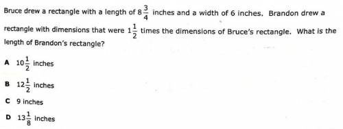 Please help me with this question :)