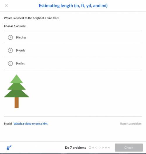 Which is closest to the height of a pine tree?