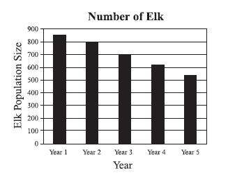Elk are members of the deer family. These herbivores move in herds from the high mountain pastures