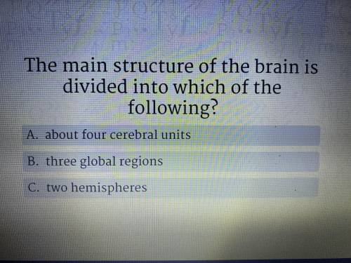 The main structure of the brain is divided into which of the following
