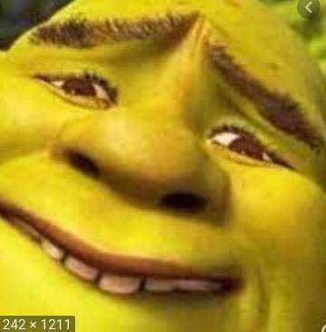 SHREK IS AN RACIST BAN HIM 20 PEOPLE ARE TRYING TO BAN HIM JOIN THE MOVEMENT BLM IDC WHO REPORTS IM