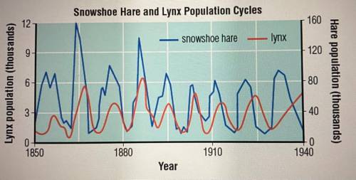 The graph below shows the number of lynx and hares in a particular state park. Which of the followi