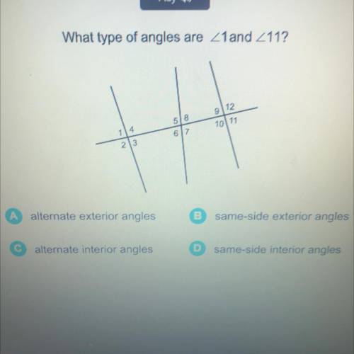 What type of angles are these???